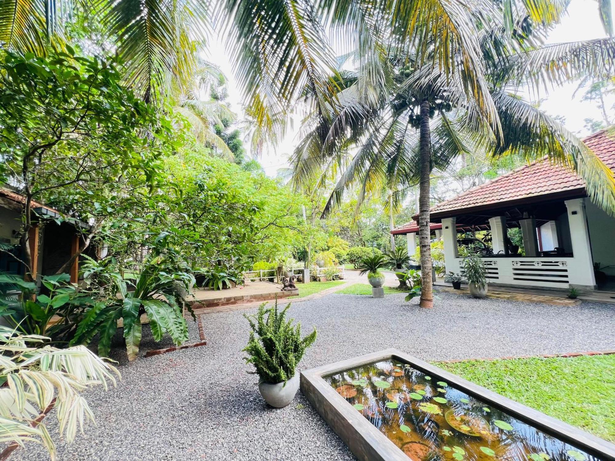 Krishan Villa เนกอมโบ ภายนอก รูปภาพ