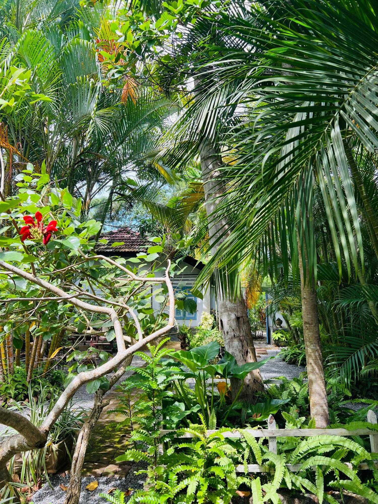 Krishan Villa เนกอมโบ ภายนอก รูปภาพ